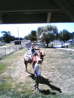 camel ride.jpg